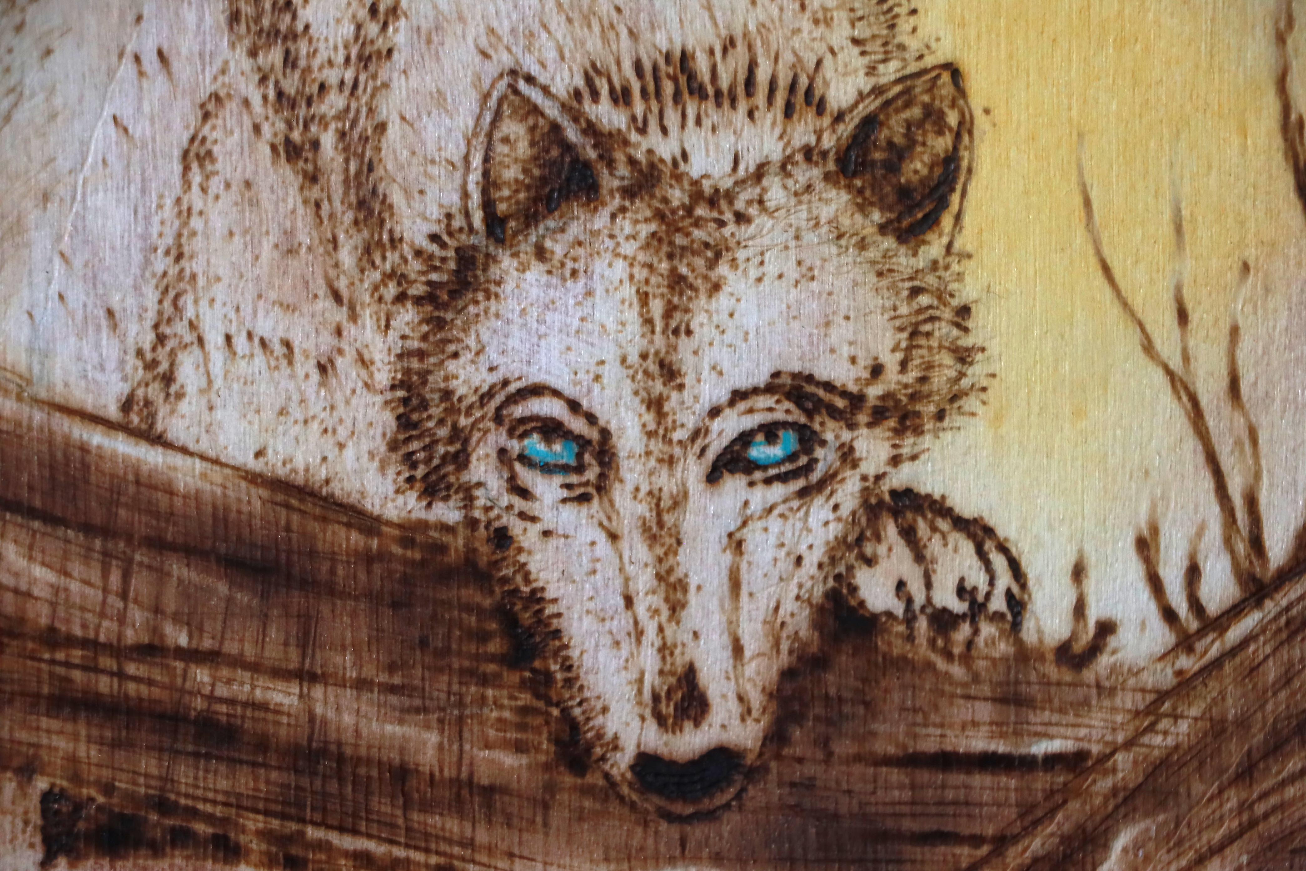 Collection main Image